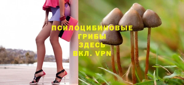 прущий лед Аша