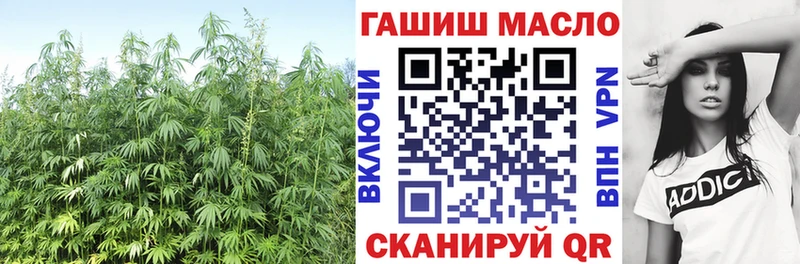 где продают наркотики  Бологое  ТГК гашишное масло 