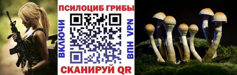 Галлюциногенные грибы прущие грибы Бологое